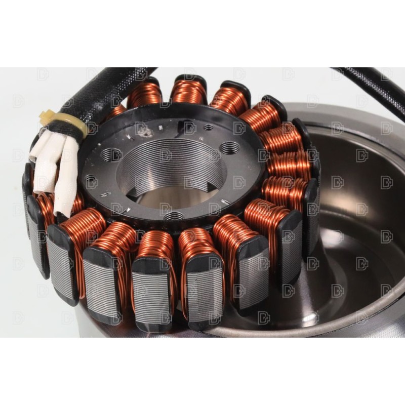 Allumage VERTIGO 125/200 rotor/stator