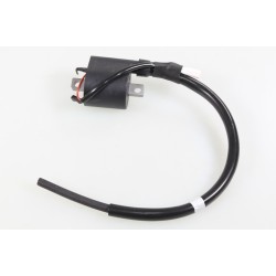 Bobine allumage VERTIGO