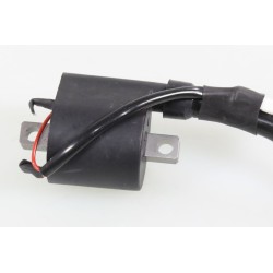 Bobine allumage VERTIGO