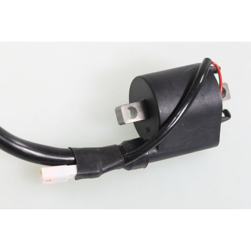 Bobine allumage VERTIGO