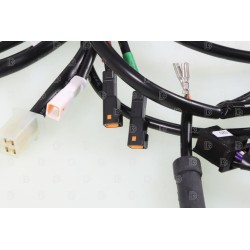 Faisceau électrique GASGAS 2023 principal