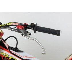 OCCASION TRS 250 RR 2021 N°42 (CT)