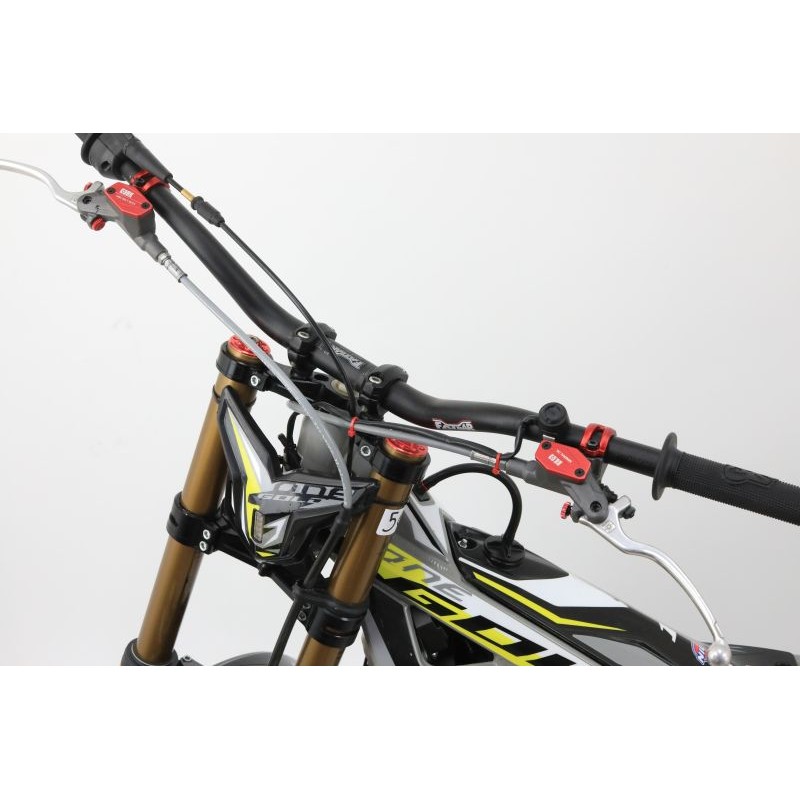 N°56 OCCASION TRS 250 GOLD 2024