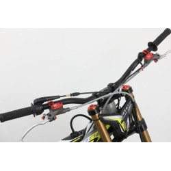 N°56 OCCASION TRS 250 GOLD 2024