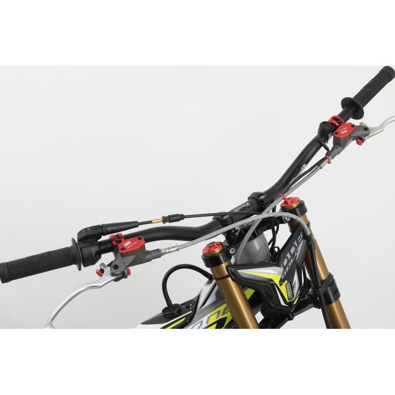 N°56 OCCASION TRS 250 GOLD 2024