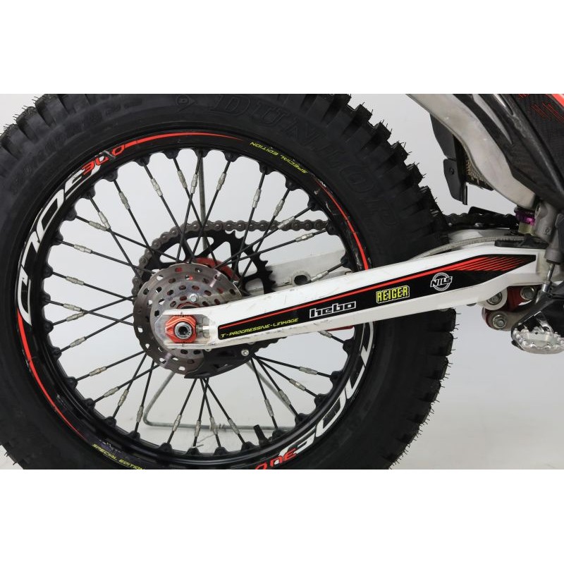 N°67 OCCASION TRS 300 GOLD 2022