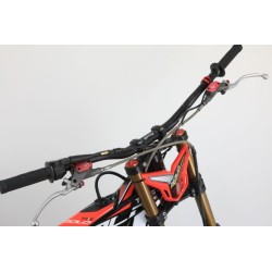 N°67 OCCASION TRS 300 GOLD 2022