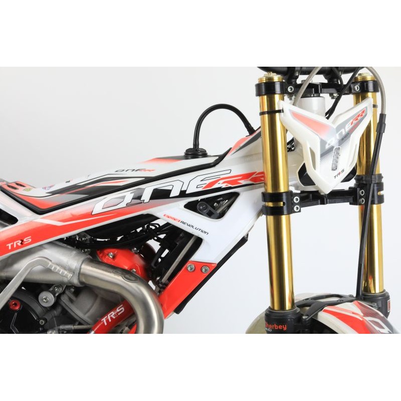 N°80 OCCASION TRS 300 RR 2024