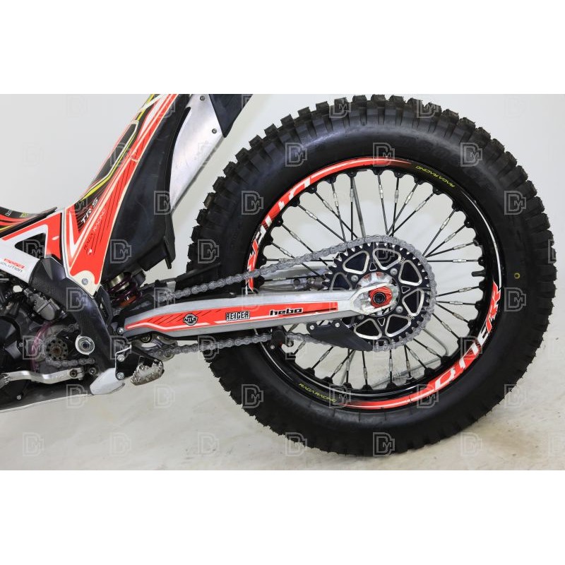 OCCASION TRS 300 RAGA REPLICA 2022 N°29