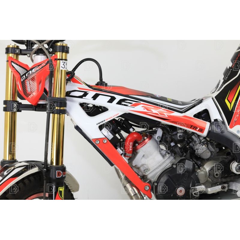 N°39 OCCASION TRS 125 RR 2023