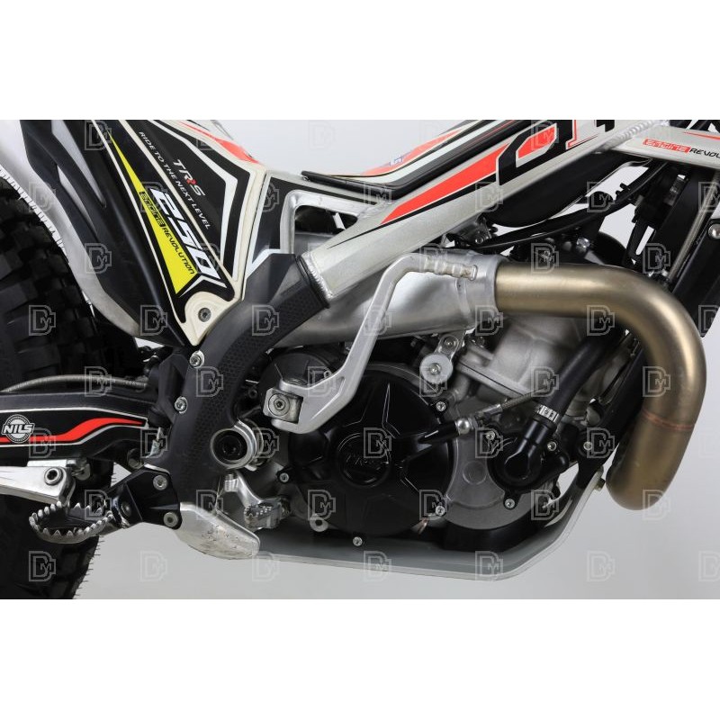 OCCASION TRS 250 ONE 2022 n°49