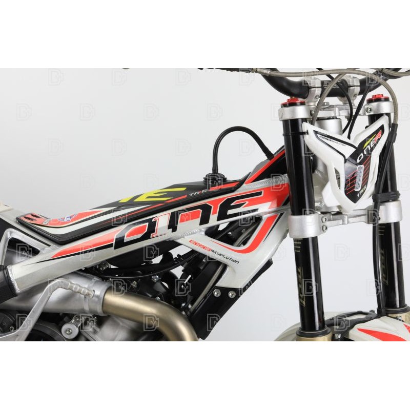 OCCASION TRS 250 ONE 2022 n°49