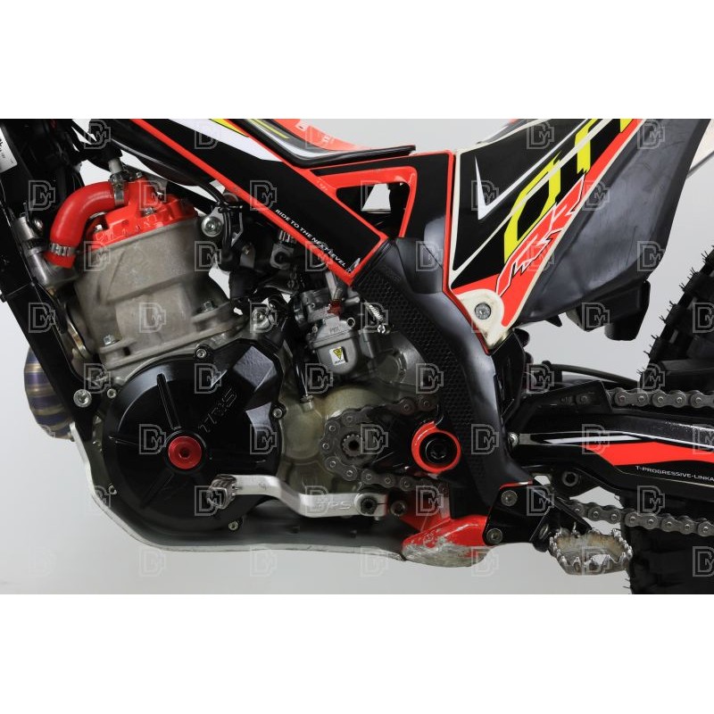 OCCASION TRS 300 RR 2020 (CT) n°54