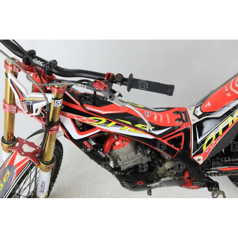 OCCASION TRS 300 RR 2020 (CT) n°54