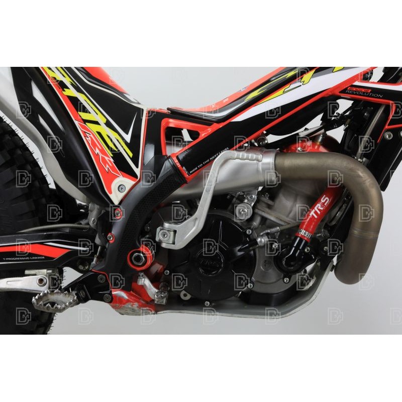 OCCASION TRS 300 RR 2020 (CT) n°54