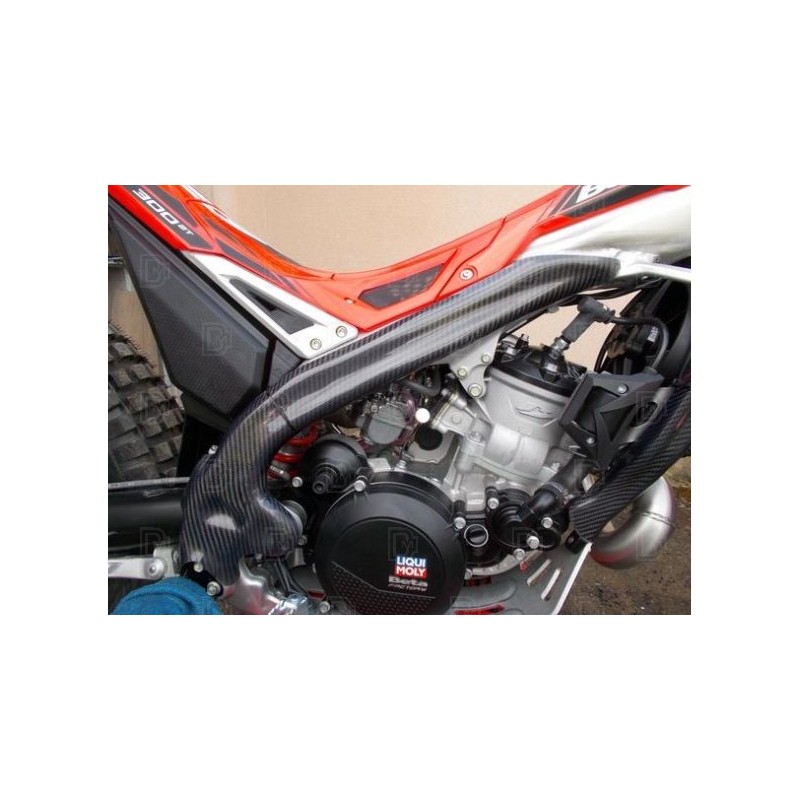 SKC BETA SINCRO Carbon Frame Protector