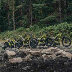 MOTO TRIAL TRIUMPH TXP 2026