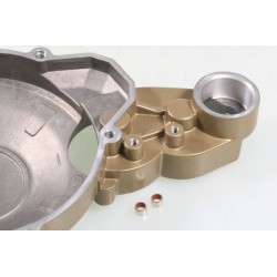 TRS Gold electric starter ignition cover