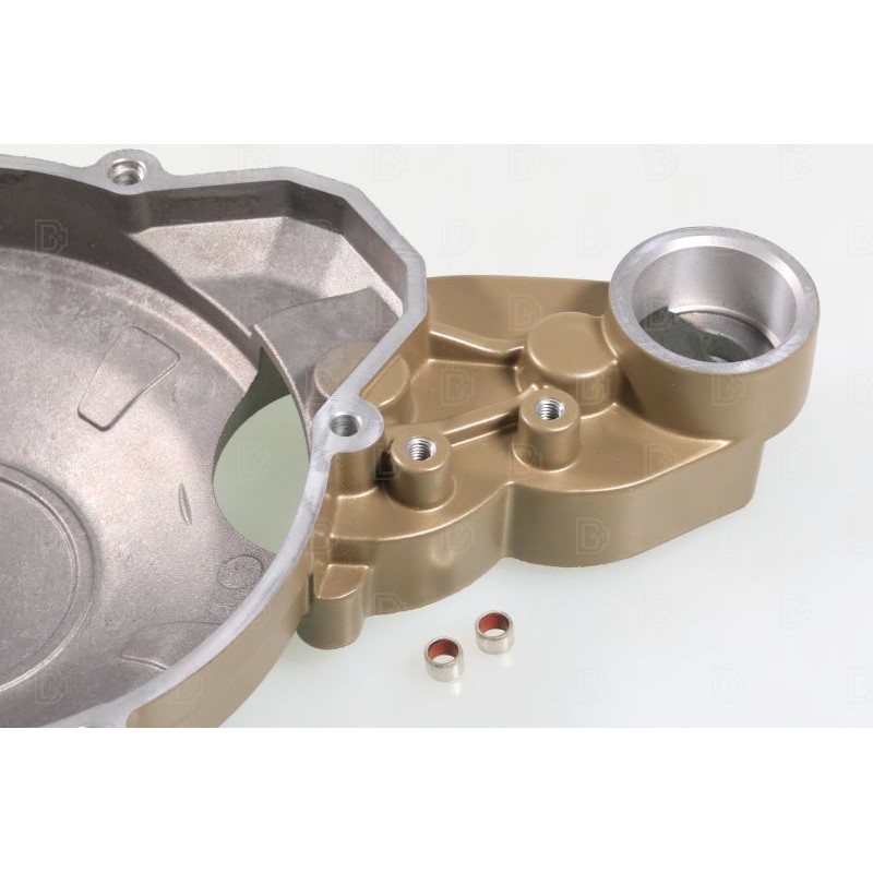 TRS Gold electric starter ignition cover