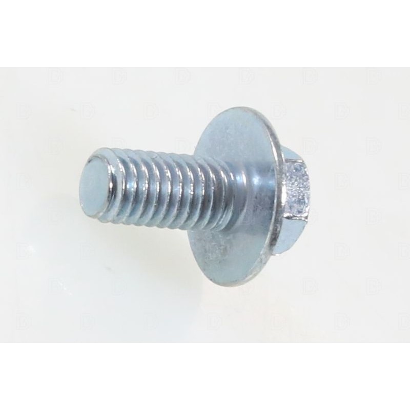Montesa 4RT filter cover screw