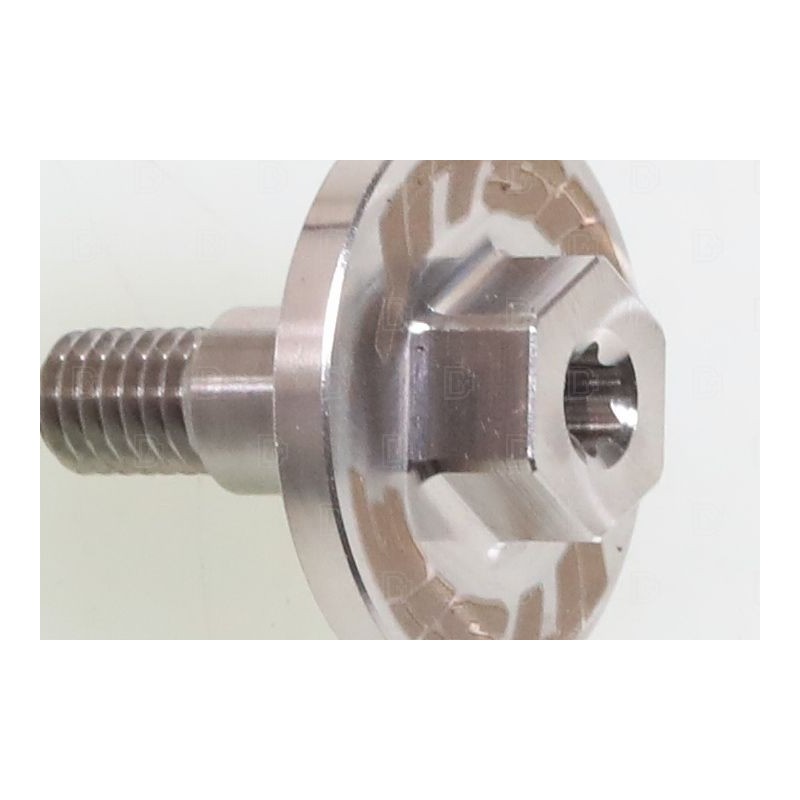 BETA SINCRO special radiator screw