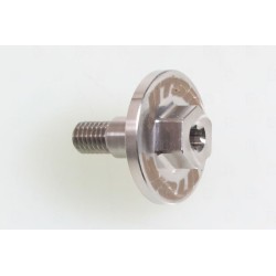 Vis special radiateur BETA SINCRO