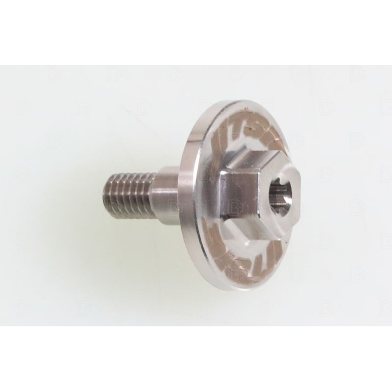 Vis special radiateur BETA SINCRO