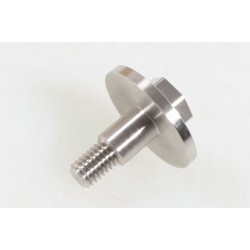 BETA SINCRO special radiator screw