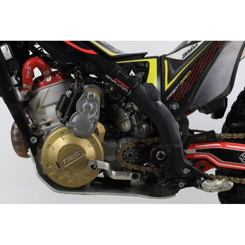 N°16 OCCASION TRS 250 GOLD DEMARREUR 2021