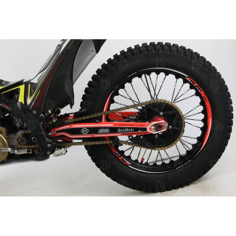 N°16 OCCASION TRS 250 GOLD DEMARREUR 2021