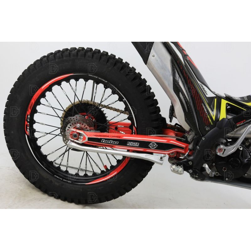 N°16 OCCASION TRS 250 GOLD DEMARREUR 2021