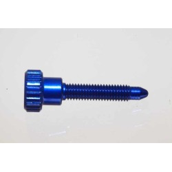 Vis ralenti CSP carburateur DELLORTO bleu