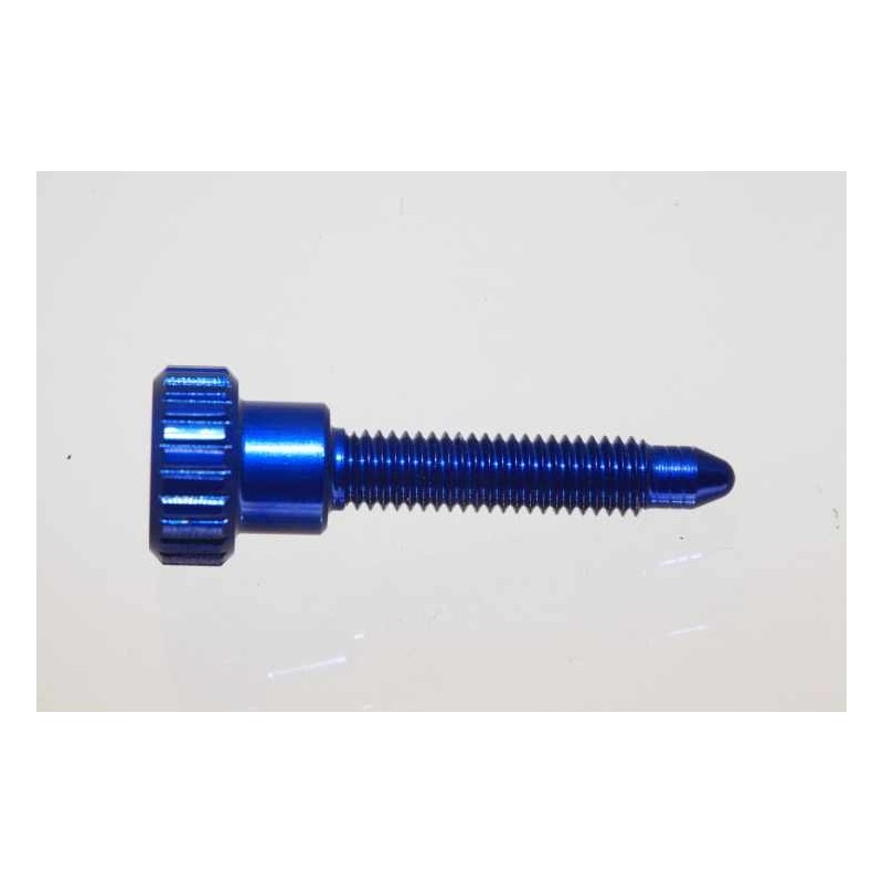 Vis ralenti CSP carburateur DELLORTO bleu