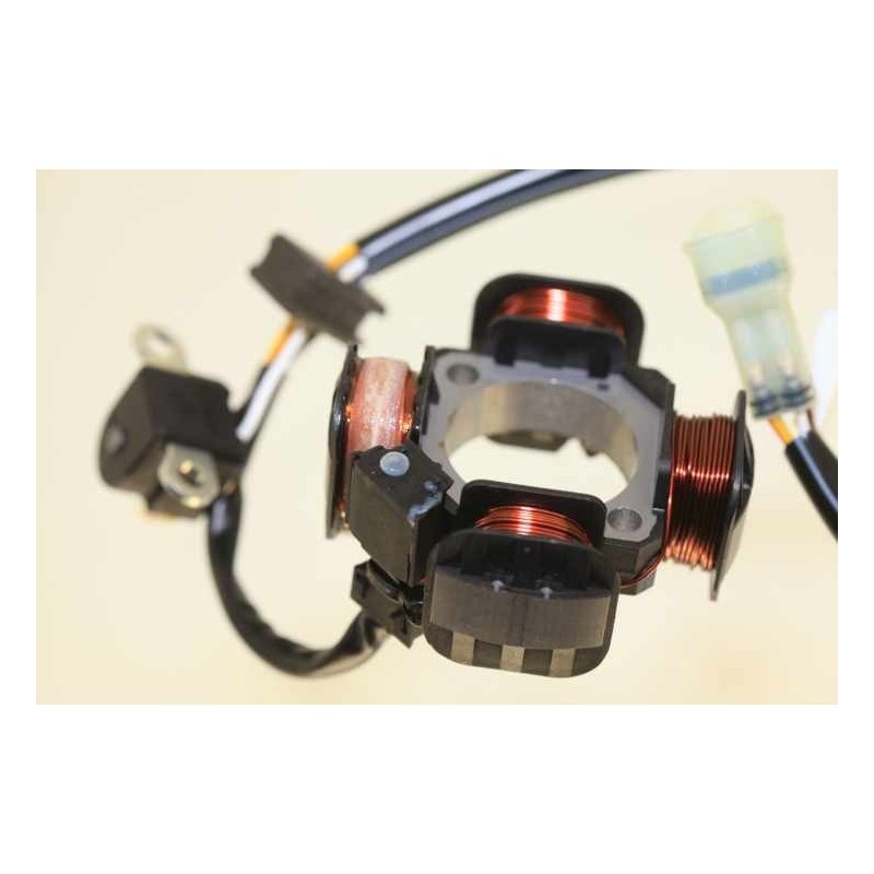 Allumage BETA 2013-2014 stator seul