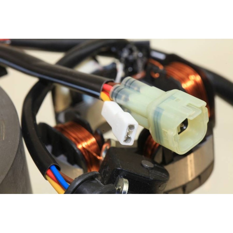 Allumage BETA 2015-2016 rotor/stator