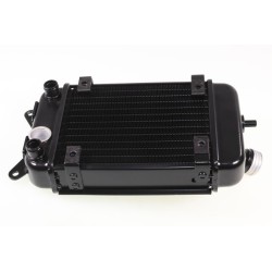Radiateur Beta 2020-2022...