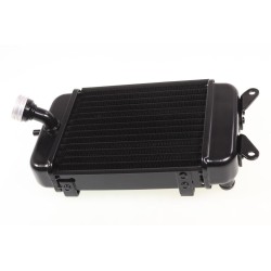 Radiateur Beta 2020-2022 seul noir