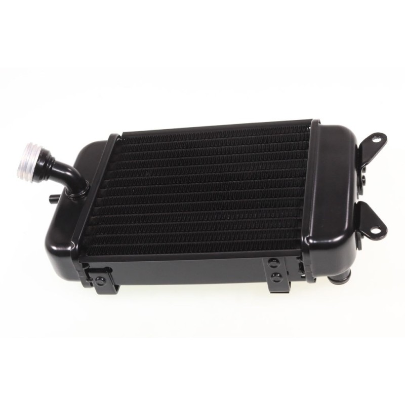 Radiateur Beta 2020-2022 seul noir