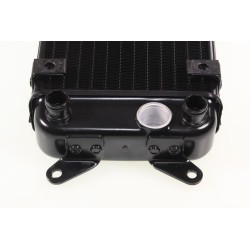 Radiateur Beta 2020-2022 seul noir