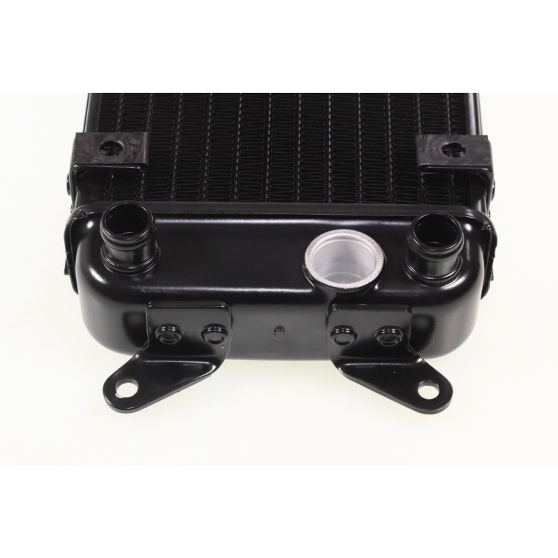 Radiateur Beta 2020-2022 seul noir