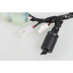Faisceau électrique régulateur tension et ventilateur BETA 2017-2023 evo 2t et evo 4t