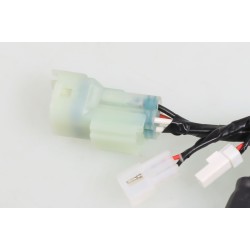 Faisceau électrique régulateur tension et ventilateur BETA 2017-2023 evo 2t et evo 4t