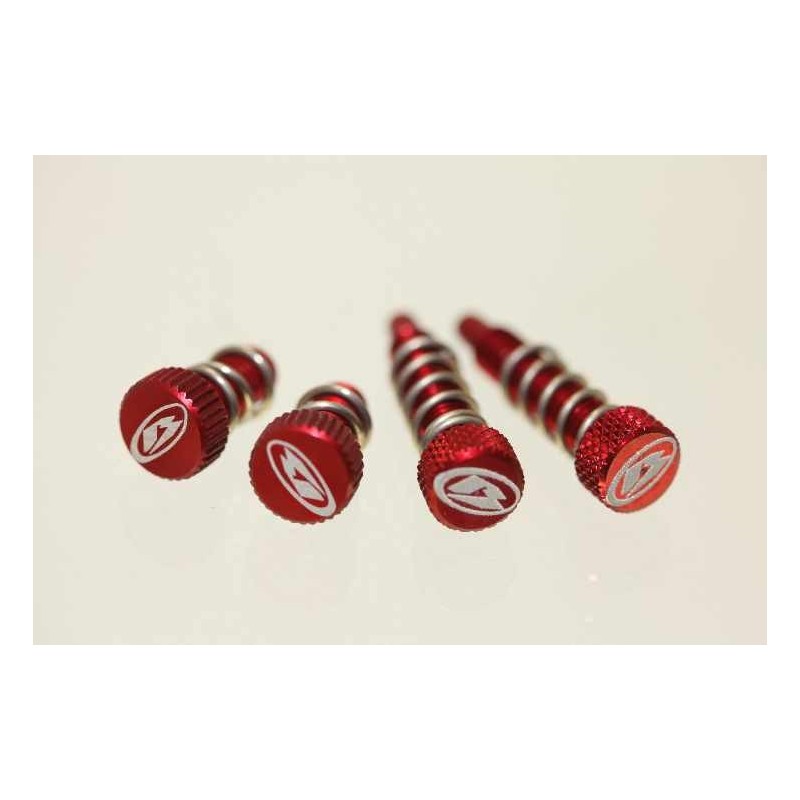 Kit vis reglage levier et butée M/C BETA rouge