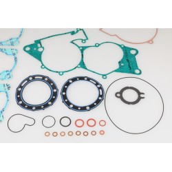 Pochette joints moteur BETA evo 2014-2022 250/300 complete