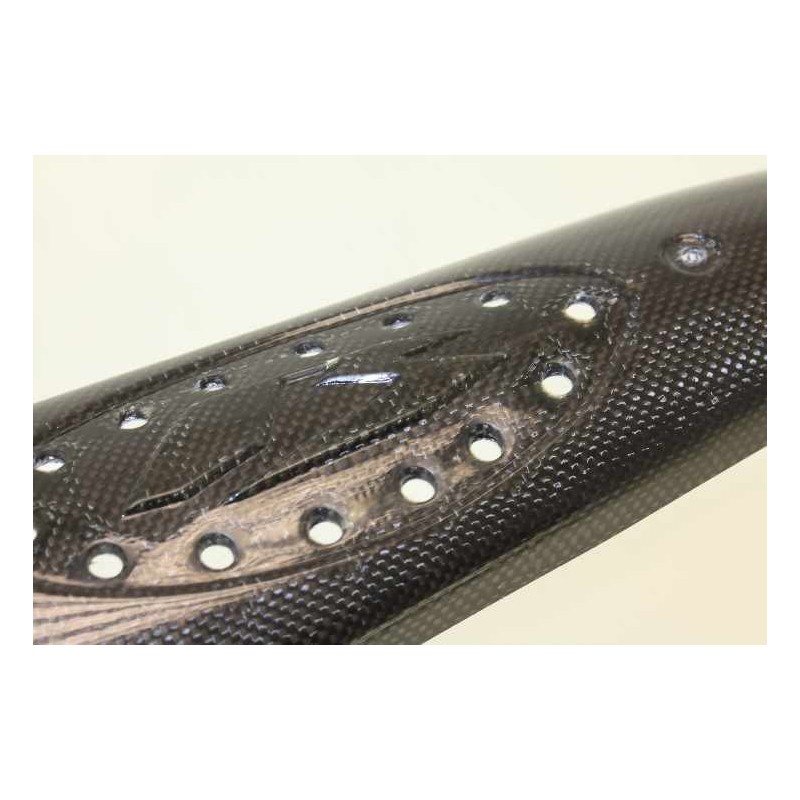 Protection silencieux echappement BETA evo 4t carbone