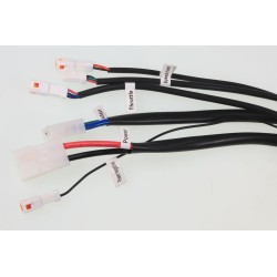 Regulateur BETA electrique 16p et 20p