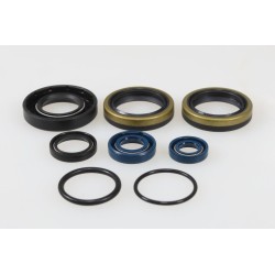 Pochette joints spy bas moteur BETA rev3 2008 et evo 2009-2016