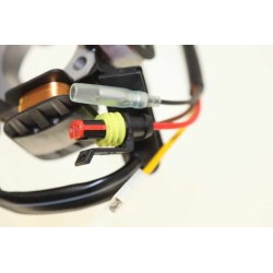 Allumage BETA 2003-2008 stator seul
