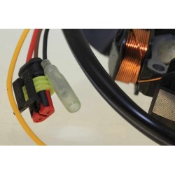 Allumage BETA 2009-2022 80 evo senior et junior stator seul