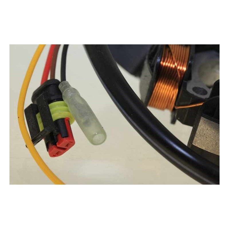 Allumage BETA 2009-2022 80 evo senior et junior stator seul